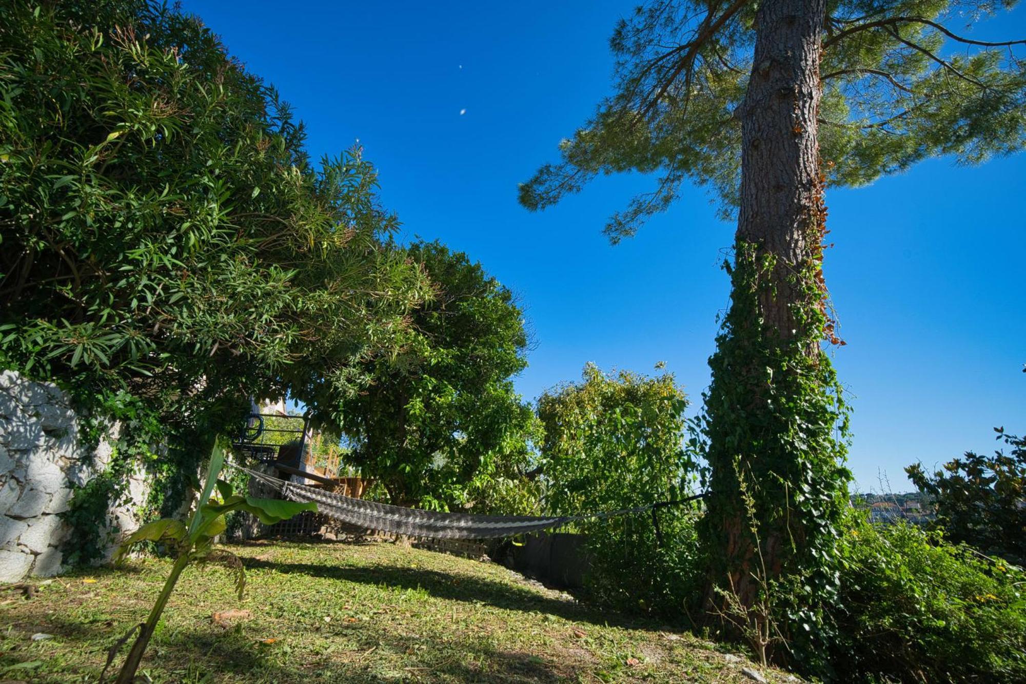 06Q - Biot Beautiful Provencal Villa With Swimming Pool Exterior photo